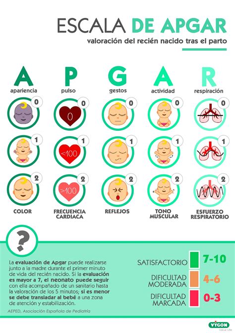 Signos Vitales Del Recien Nacido Ideakithotline