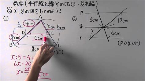 【数学】中3 49 平行線と線分の比①基本編 Youtube