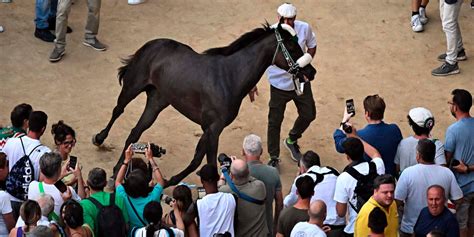 Palio Di Siena Vince L Oca Con Il Cavallo Scosso