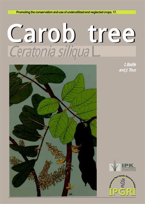 Pdf Carob Tree Ceratonia Siliqua L