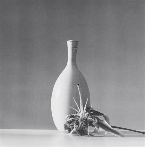 Robert Mapplethorpe Flower 1985