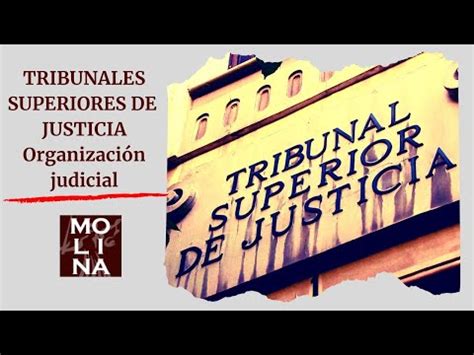 El Tribunal Superior De Justicia Del Pa S Vasco Funciones Y