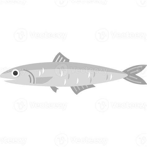 Anchovy fish seafood sea animal 24862403 PNG