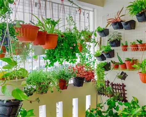 15 Inspiring Balcony Gardening Ideas that are a Must! 2025: Own The Yard