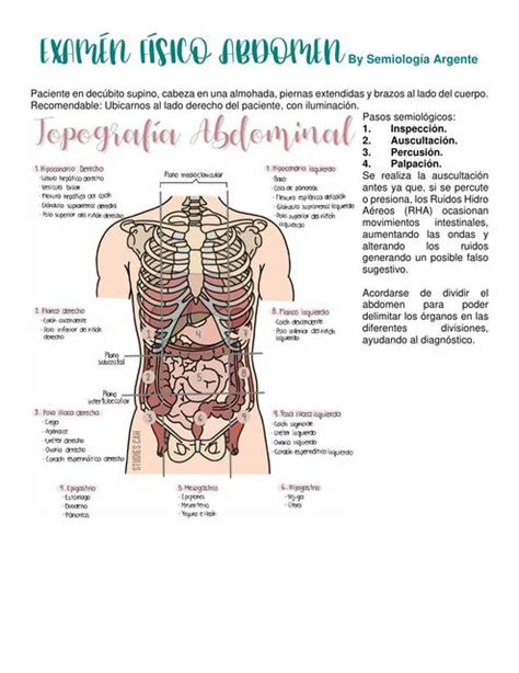 Examen Fisico De Abdomen Flash Sales Innoem Eng Psu Ac Th