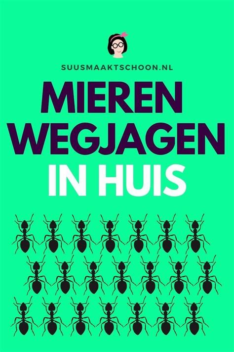 The Poster For Meren Weggagen In Hus