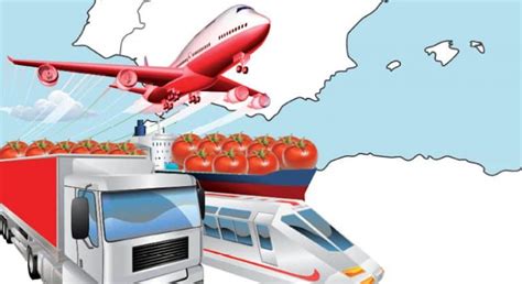 España ingresa más por exportar hortofrutícola que aviones trenes y