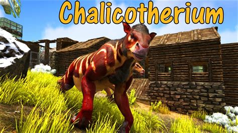 Chalicotherium Educational Special [30] - YouTube