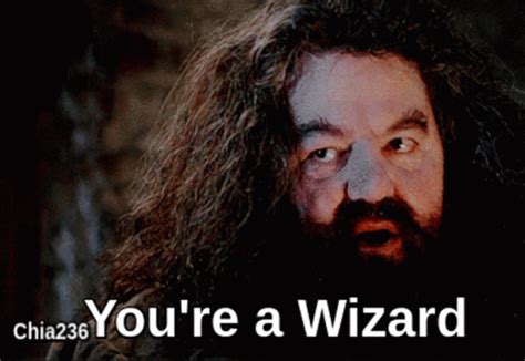 Youre A Wizard Hagrid Youre A Wizard Hagrid Afirmation Discover