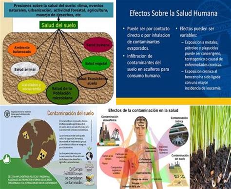 El impacto de las actividades humanas en la salud del suelo Qué