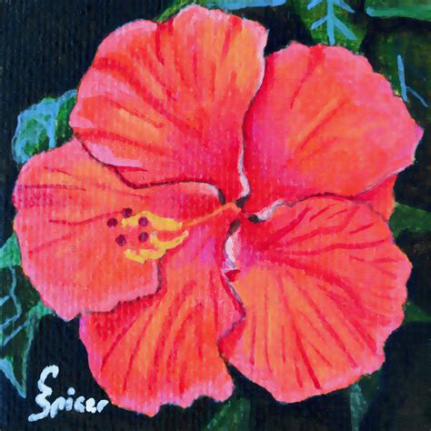 Red Hibiscus - Painting by Christopher Spicer | CBSpicer Art