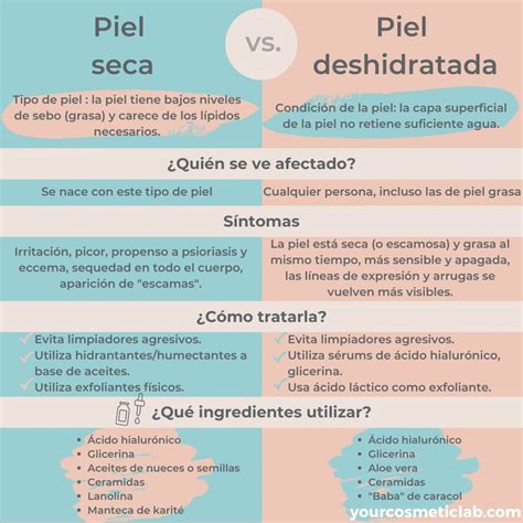 Diferencias Entre Una Piel Seca Y Una Piel Deshidratada Piel