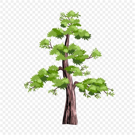 Redwood Vector Hd PNG Images Redwood Tree Vector Illustration The