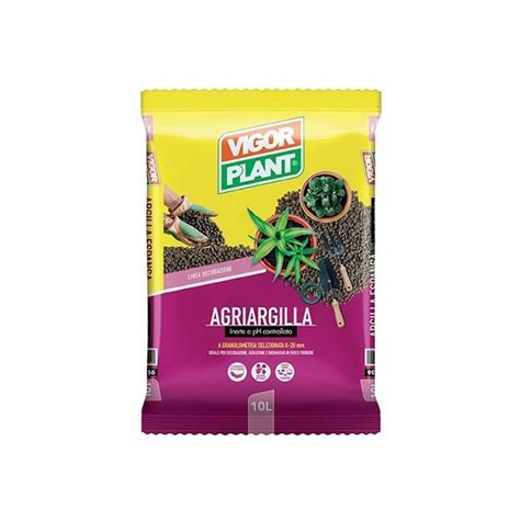 Argilla Espansa Agriargilla Vigorplant Lt 10 Multifunzione