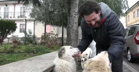 Petrizzi Il Borgo Amico Dei Trovatelli