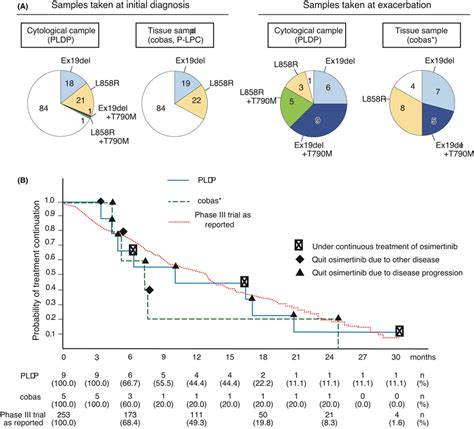 Clinical performance of peptide nucleic acid (PNA)‐locked nucleic acid ...