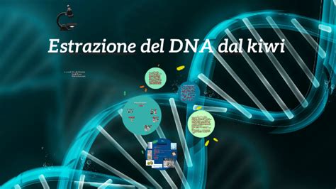 Estrazione Del Dna Dal Kiwi By Niccolò Mazzone On Prezi