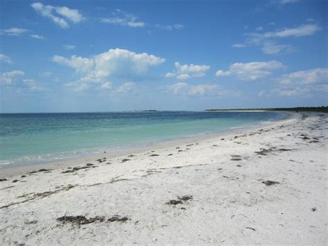 Florida: Cayo Costa island | Cayo costa, Florida beaches, Beach