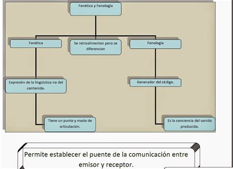 Conociendo La Fon Tica Y La Fonolog A Fon Tica Y Fonolog A