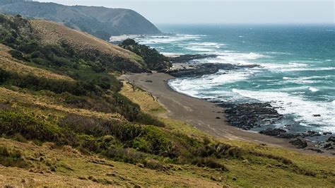 Stopping Shell Oil On South Africas Wild Coast Ehn