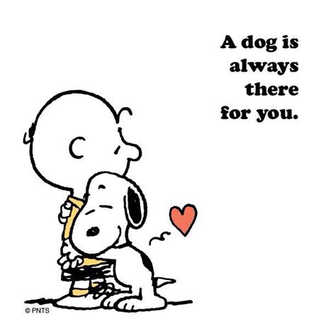 Peanuts Snoopy Quotes Snoopy Snoopy Pictures