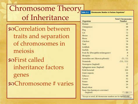 PPT - Chromosomal Basis of Inheritance PowerPoint Presentation, free ... 