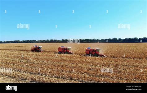 Aerial Top View Three Big Red Combine Harvester Machines Harvesting