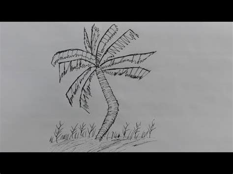 How to draw a Coconut tree-pencil drawing of coconut tree-coconut tree drawing picture – How To Draw