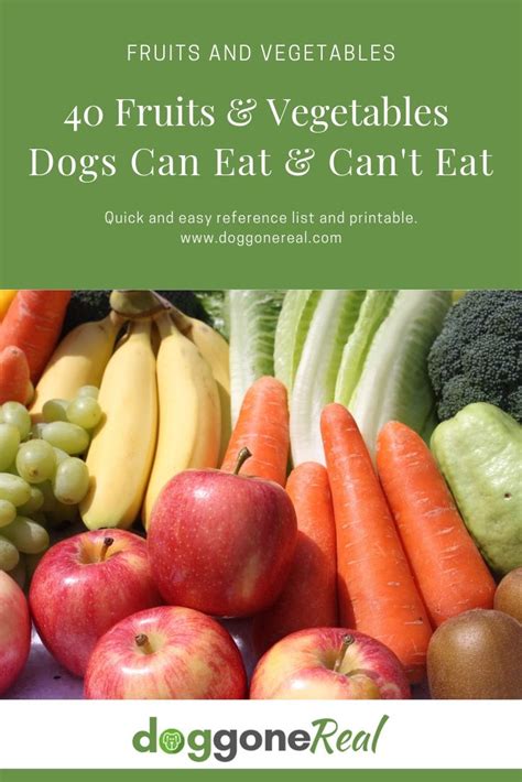 40 Fruits And Vegetables Dogs Can And Cant Eat Dog Gone Real