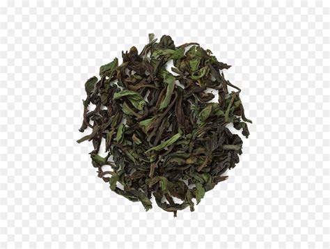 Earl Grey Tea Hojicha O Chá Assam png transparente grátis