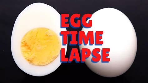 Boiled Egg Time Lapse Youtube