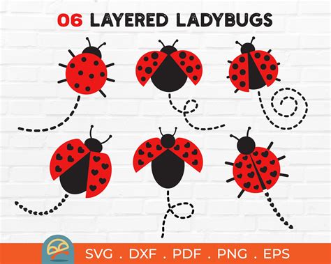 Layered Ladybug Svg Ladybug Svg Ladybug Bundle Svg Files Etsy Uk