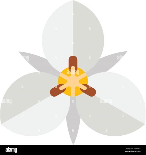 White mariposa flower icon Stock Vector Image & Art - Alamy