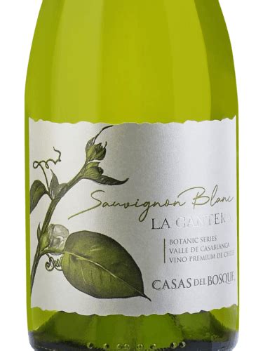 Casas Del Bosque La Cantera Sauvignon Blanc Vivino Us