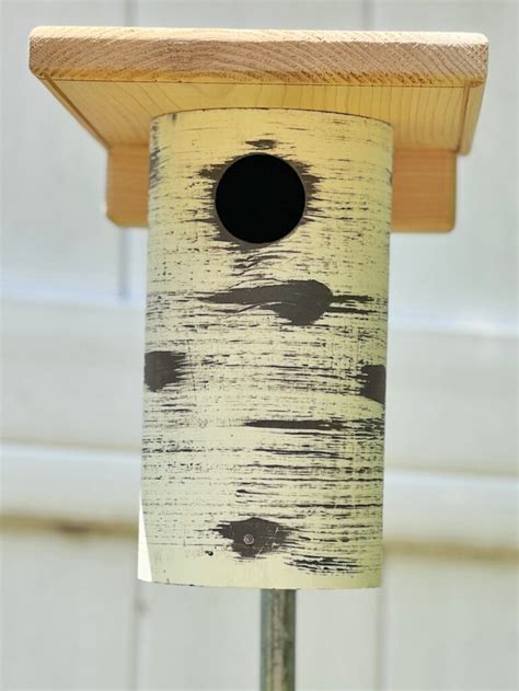 Gilbertson Nestbox The Story Of Sialis Org Info On Bluebirds