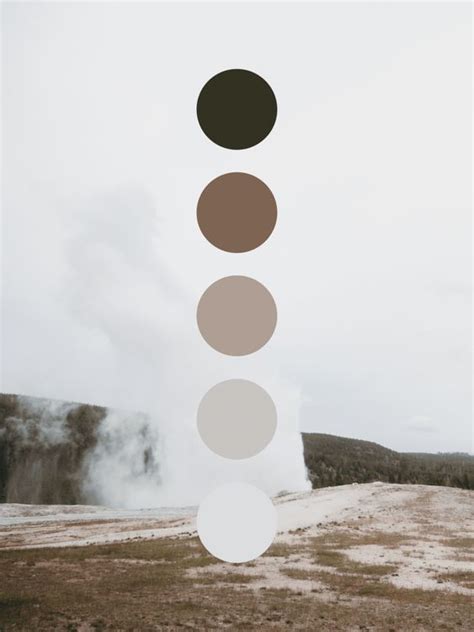 How To Pick Nude Color Palette Artwork Color Theme Ideas Earthy Color Palette Brand Color