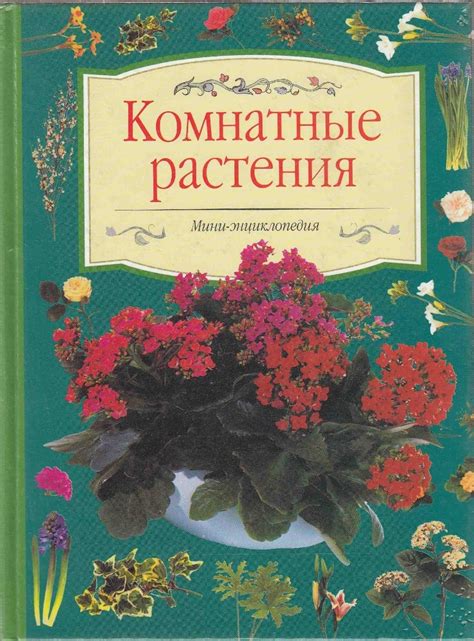 Книга "Комнатные растения (Мини-энциклопедия)" Автор не указан – купить ...