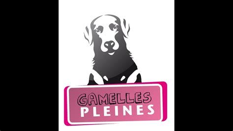 LES GAMELLES PLEINES RENNES YouTube