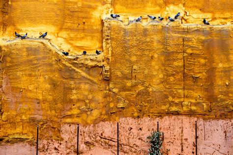 Images Gratuites Roche Bois Texture Mur Formation Rouille