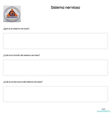 Sistema nervioso. Ficha interactiva | TopWorksheets 