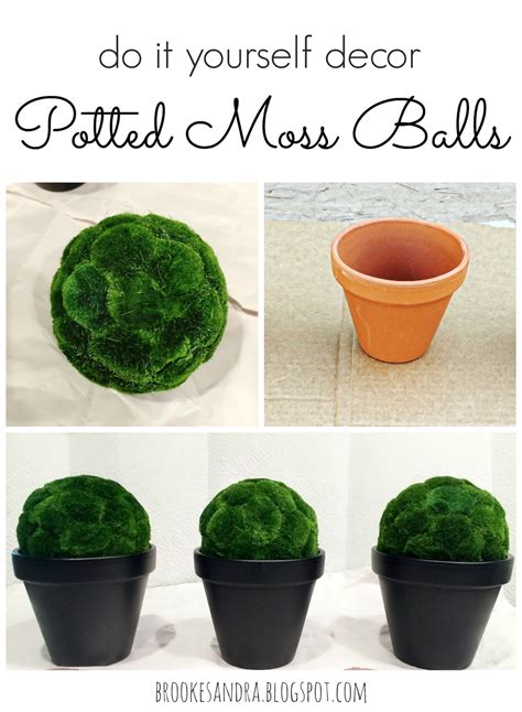 Brooke Sandra Blog Life And Diy Inspiration Diy Potted Moss Ball Decor