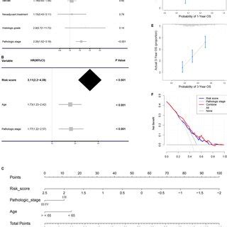 Cox Regression Analysis And Establishment Of Nomogram Univariable