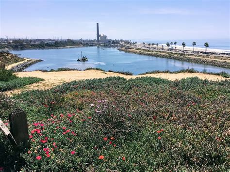 Hubbs Trail Tour At Agua Hedionda Lagoon San Diego Beach Secrets