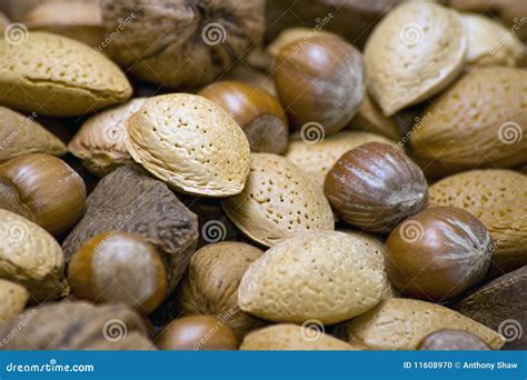 nuts close  stock photo image  meal nuts shell