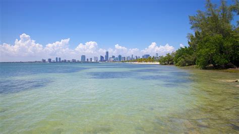 Top 20 Miami-Dade County, US vacation rentals with pool from $85/night | Vrbo