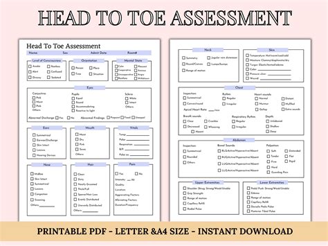 Head To Toe Assessment Template Nursing Checklist Nursing Student Notes