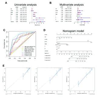 Independent Prognostic Role Of Risk Scores Univariate A And