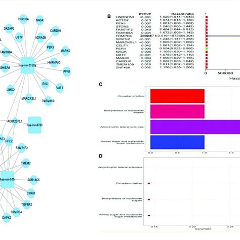 Prognosis Related Downstream Target Gene Screening And Enrichment