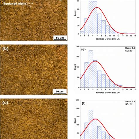 The Microstructure A C And Equiaxed α Grain Size Distribution D F