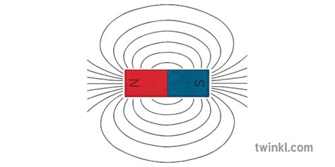 Bar Magnet Magnetic Field Illustration Twinkl